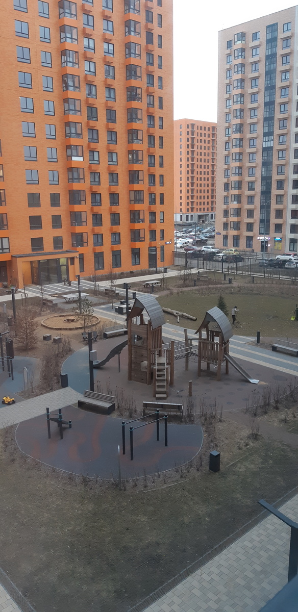 Тут одни кустики