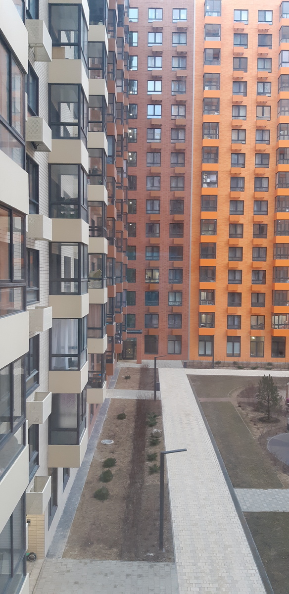 Справа нашла одну сосенку, плюс хвойные кустики, непонятно по какому принципу натыканные