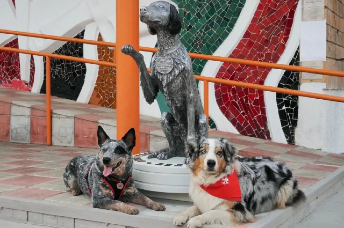    В Калужской области стартовал конкурс медиаработ «Верные сердца»