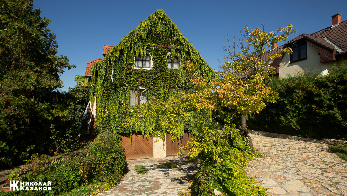 Сказочный дом в Тихане. Венгрия. 2014 г. Николай Казаков.
