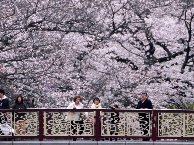    Фото: AP Photo/Shuji Kajiyama