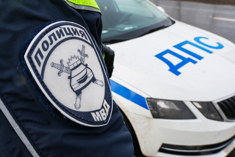    Наталья Шатохина/NEWS.ru