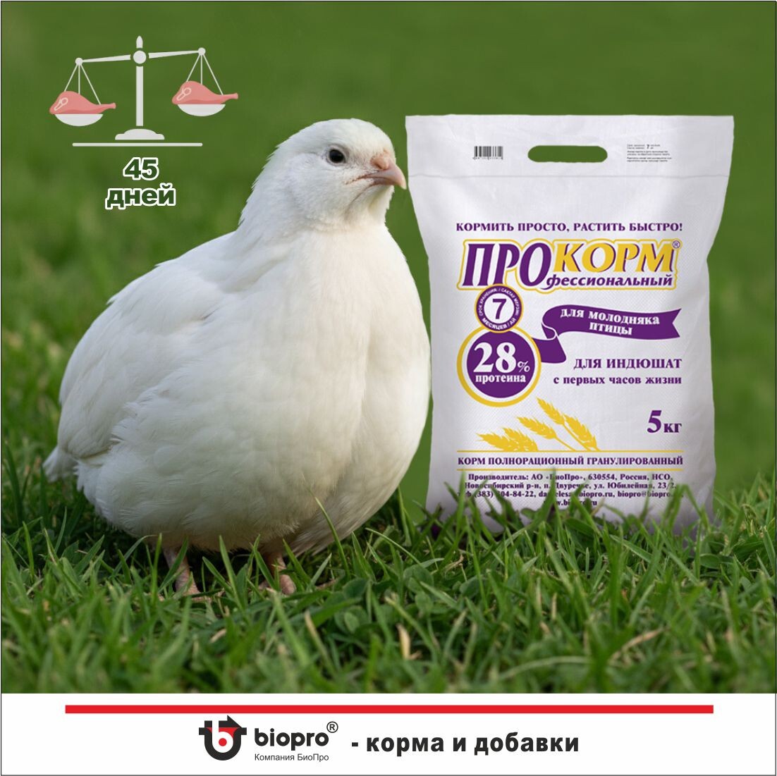 Корм полнорационный предстартерный для индюшат всех видов и перепелят мясного направления, гранула 1,8 мм. Обменная энергия ≥ 290 Ккал/100 г, сырой протеин ≥ 28%.