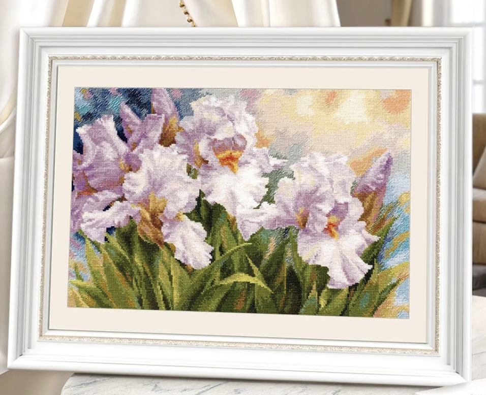 Белые ирисы