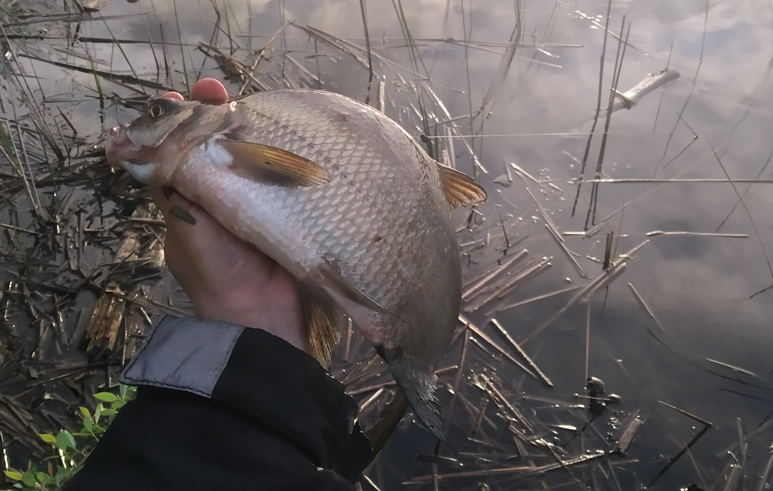 Автор фото Подслушано Секреты Рыболова