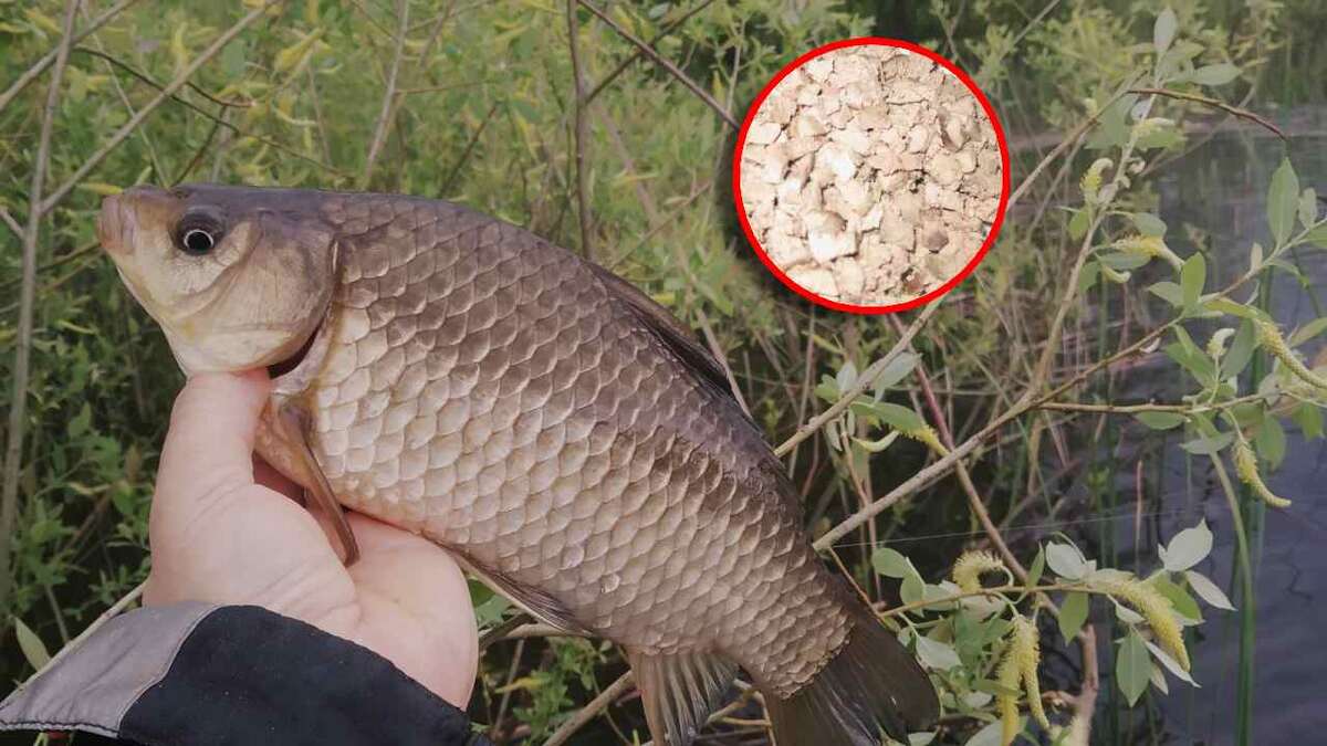 Автор фото Подслушано Секреты Рыболова