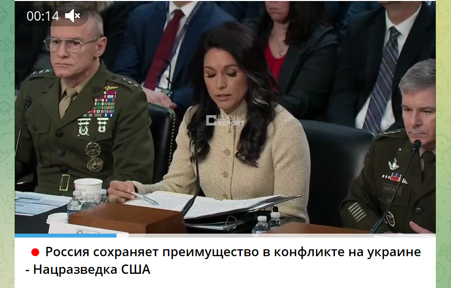 Скрин "Военкор l Z l Лисицын ZOV-TV"