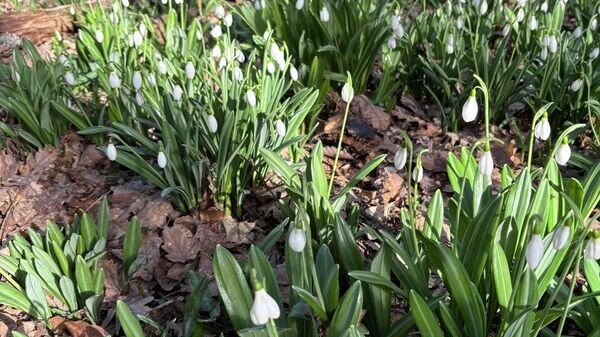    © РИА Новости Крым