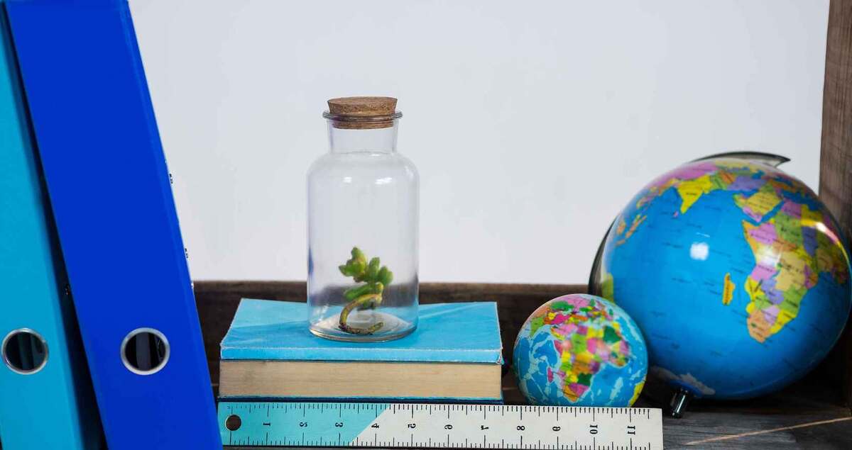 Источник фото: freepik