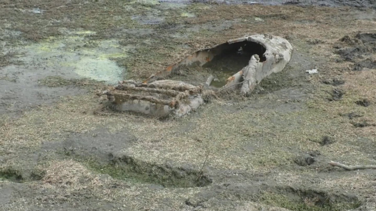 Даже коляска от мотоцикла показалась из ила...