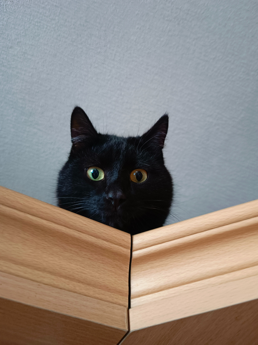 Агатик следил за приготовлением завтрака. Фото автора