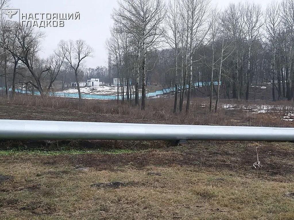    Фото: vk.com/gladkov_vv