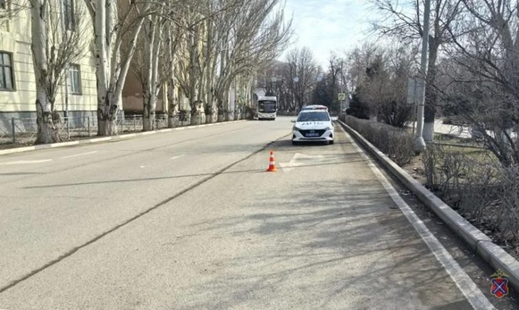 Фото: ГУ МВД по Волгоградской области