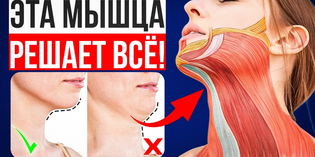 От двойного подбородка и холки ВКЛЮЧИ эту МЫШЦУ