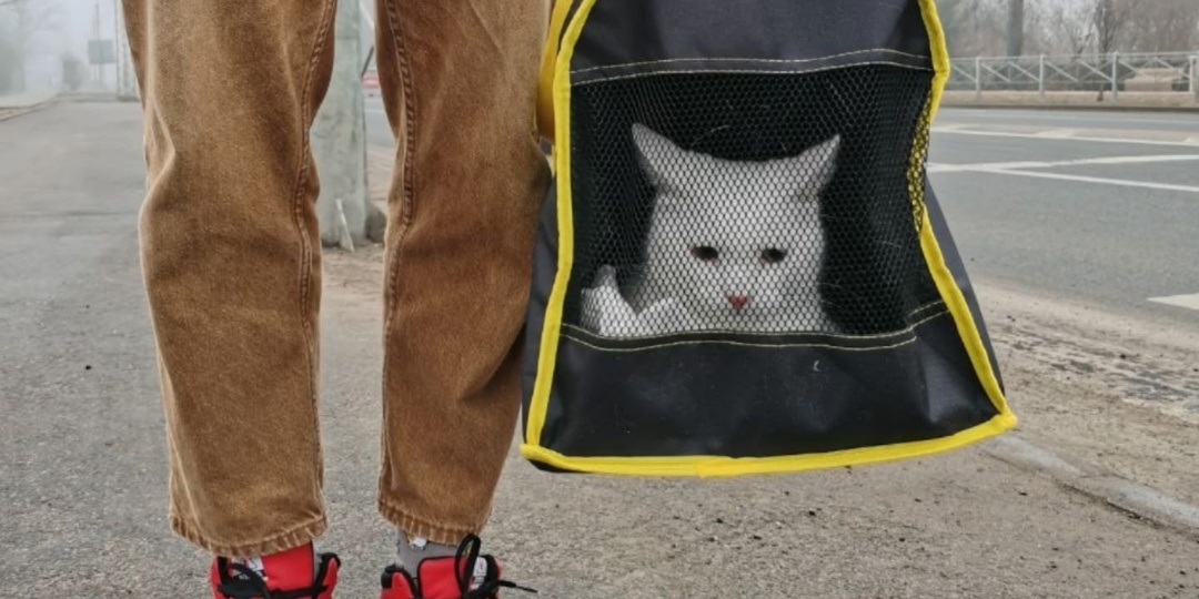 Привет из дома от Снежка 🐾🌟