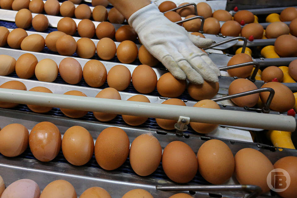    Фото: Дмитрий Рогулин / "Городские вести"