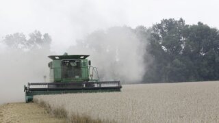    фото: пресс-служба администрации Краснодарского края Людмила Лата