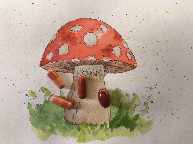 Как выбирать добавку для очищения лимфы, печени, детокса