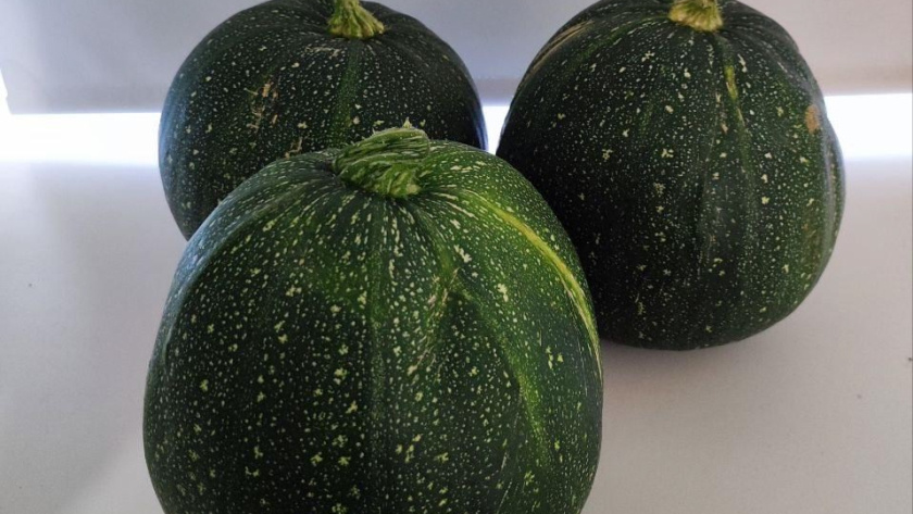    фото smilekaluga.ru