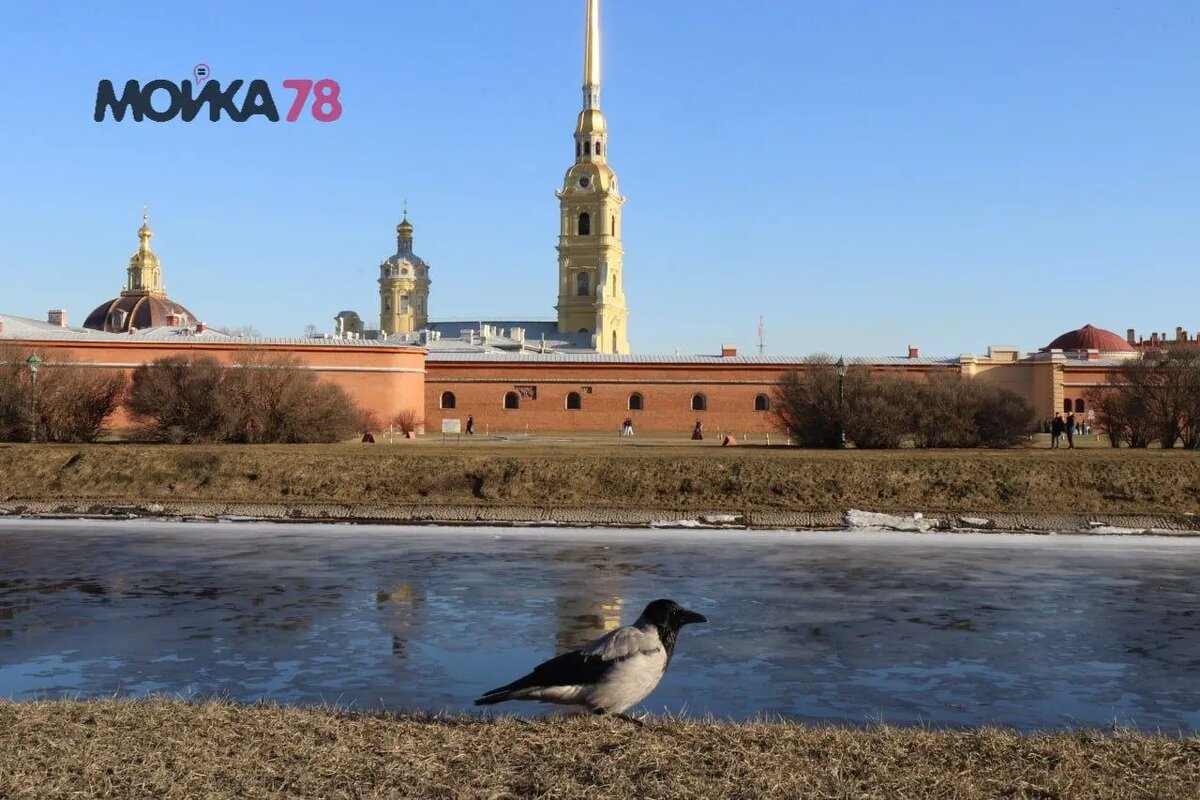    Фото: Мойка78.