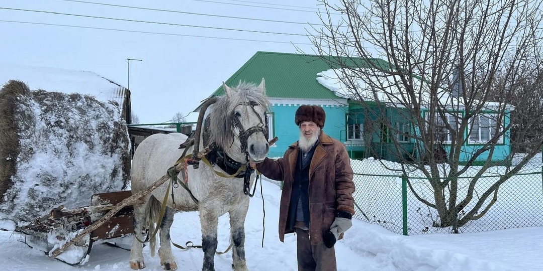 Ну какой же цыган без коня?