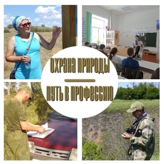    Коллаж Щербаковского природного парка