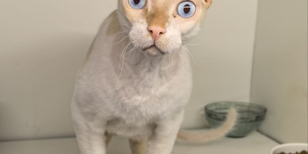 Опять всё неправильно