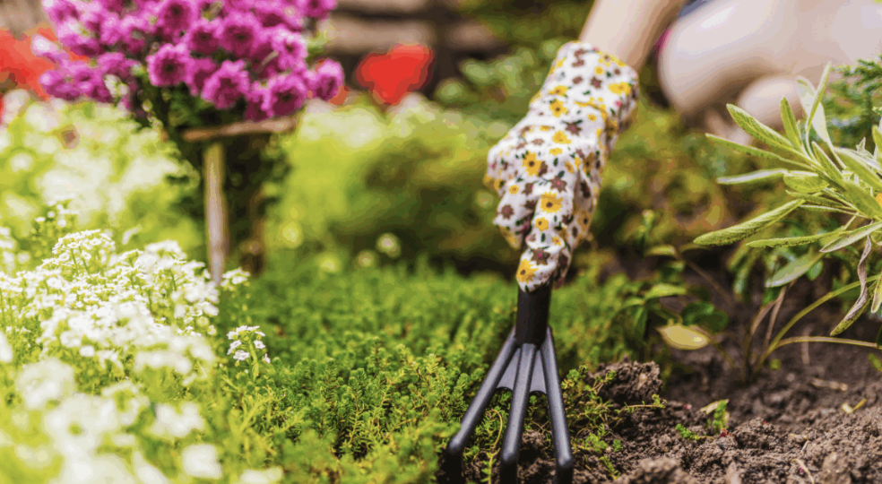 Простое хобби удивило специалистов мощным эффектом против депрессии