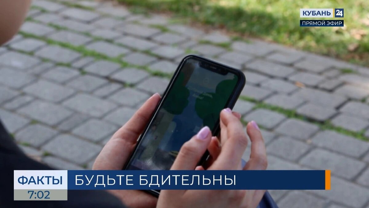    Скриншот видео телеканала «Кубань 24»