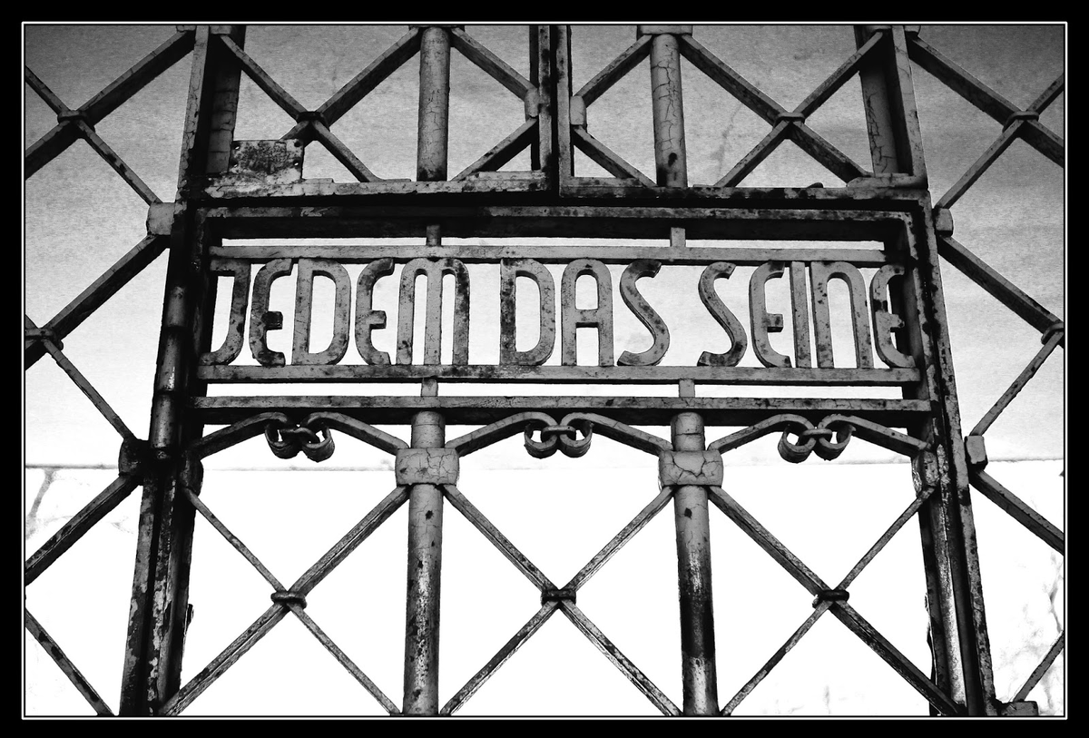 Фото из свободных источников.