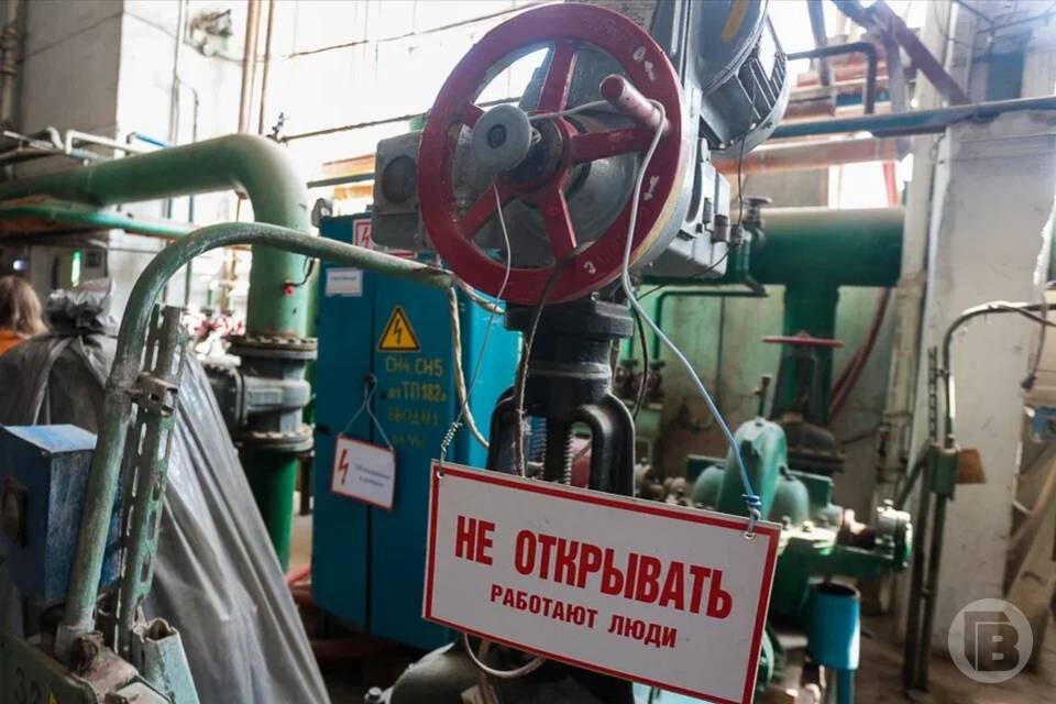    Фото: Дмитрий Рогулин / "Городские вести"