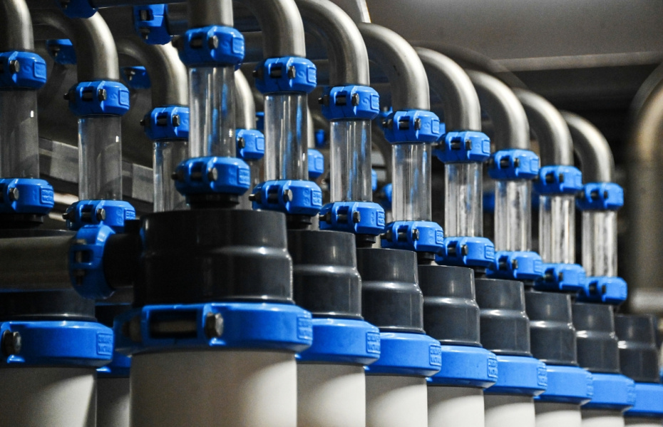    Евгений Одиноков/РИА Новости