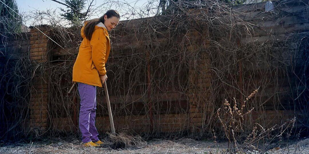 Весенние вредители: три шага к чистому саду без химии