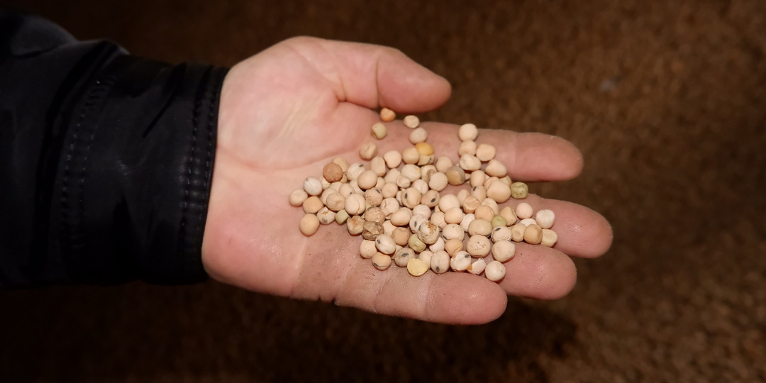 «Луч Ильича» встречает весну