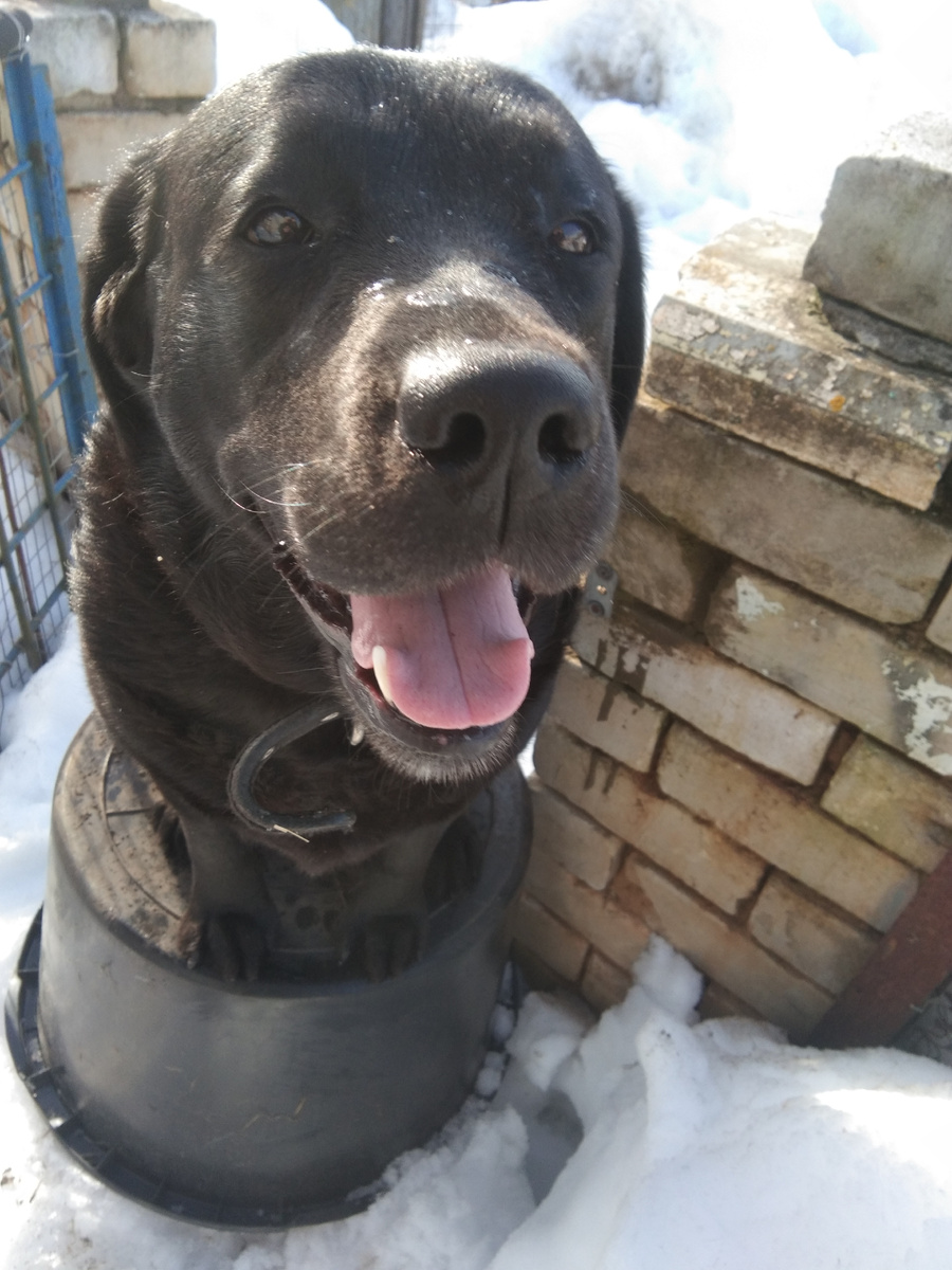 Фото автора. 