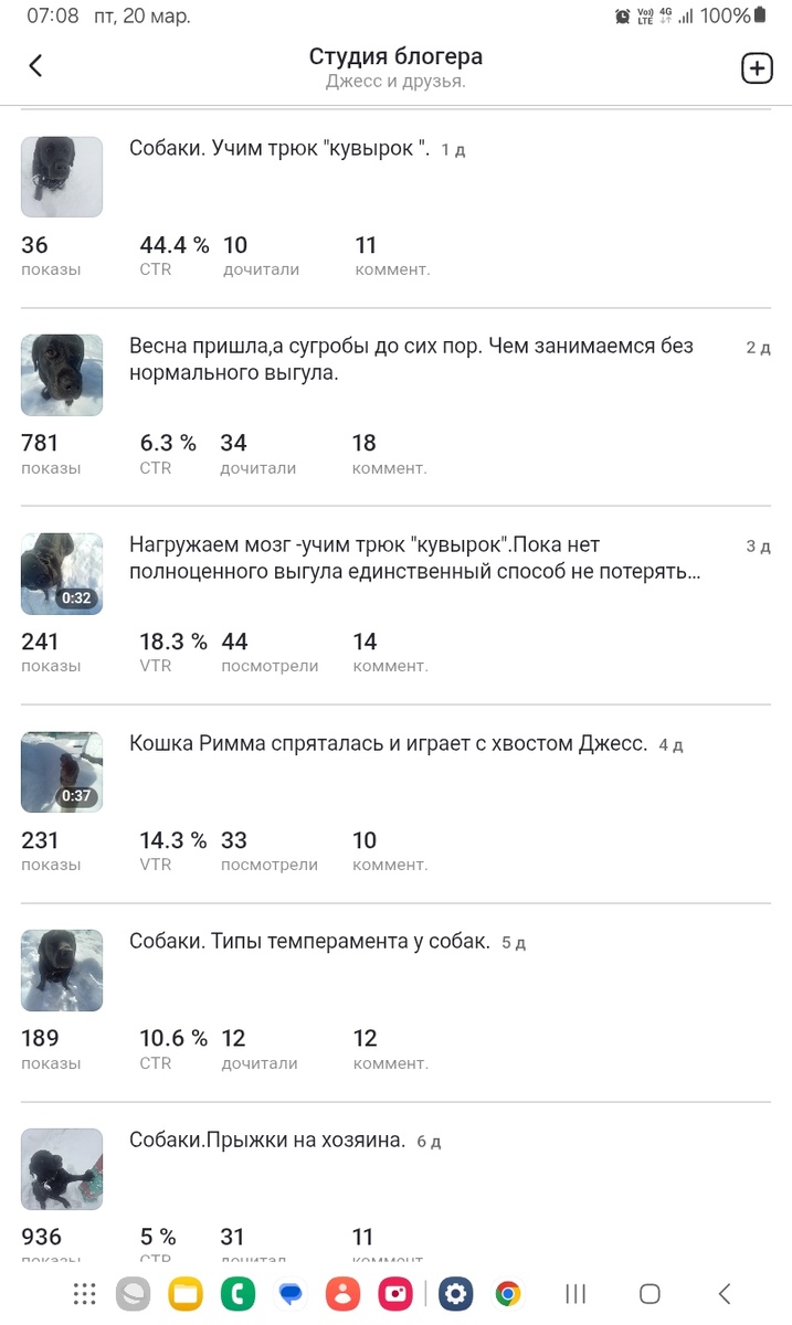 Фото автора. За сутки 36 показов-это рекорд!