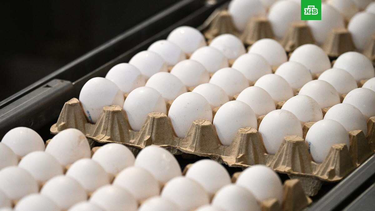    Фото: РИА Новости © 2026, Константин Михальчевский