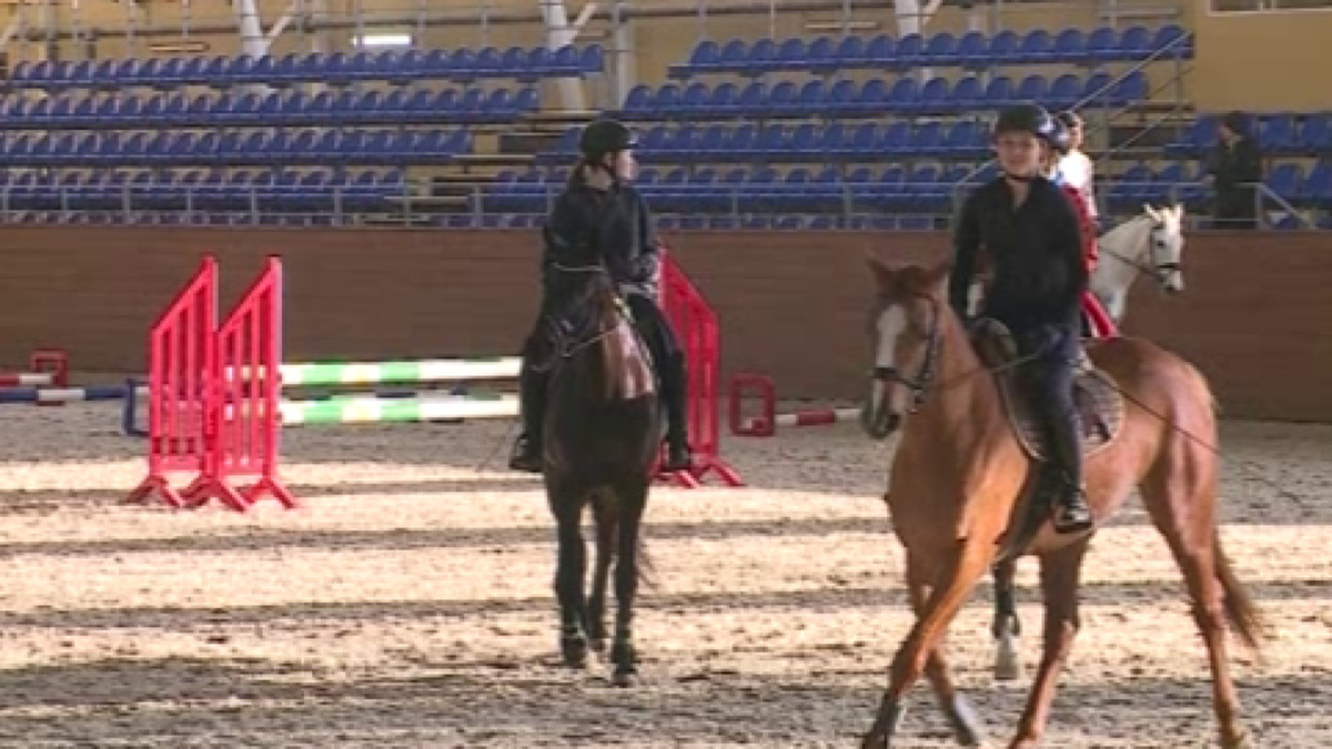    С 20 по 22 марта в Курске пройдёт трёхдневный Кубок области по конному спорту