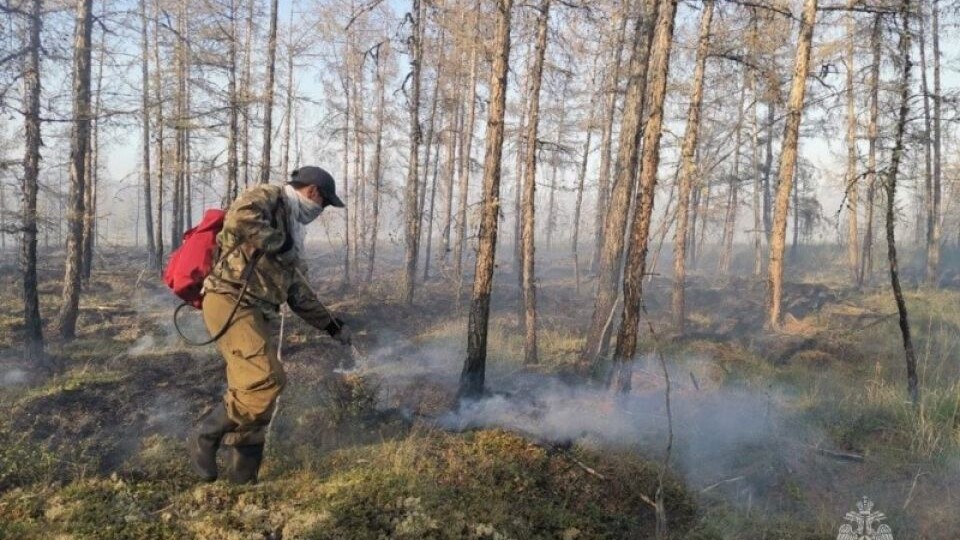 Алтайский край первый в Сибири встретит пожароопасный сезон