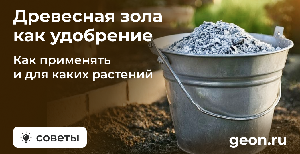 Древесная зола как удобрение: для каких растений подходит и как применять правильно
