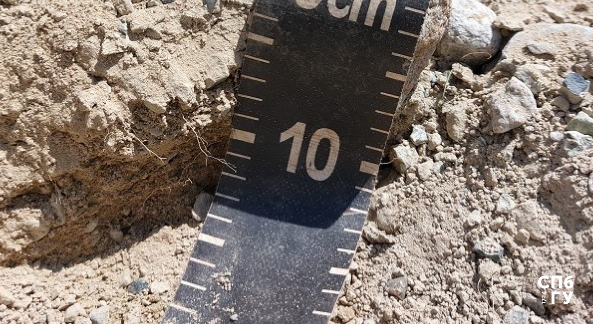 Изображение первичной почвы, формирующейся на месте отступающего Цейского ледника. Взято из International Journal of Geoheritage and Parks