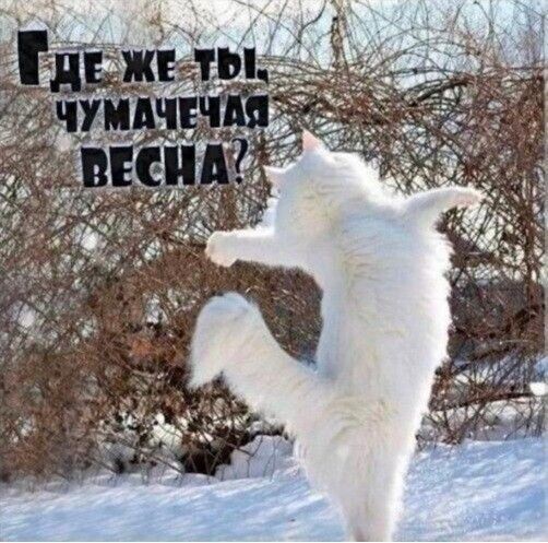 Из открытых источников 