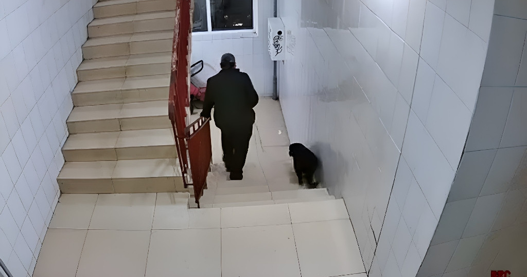 Зефир и люди