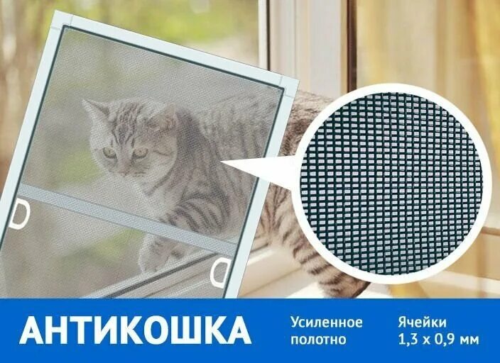 Фото Яндекс Картинки