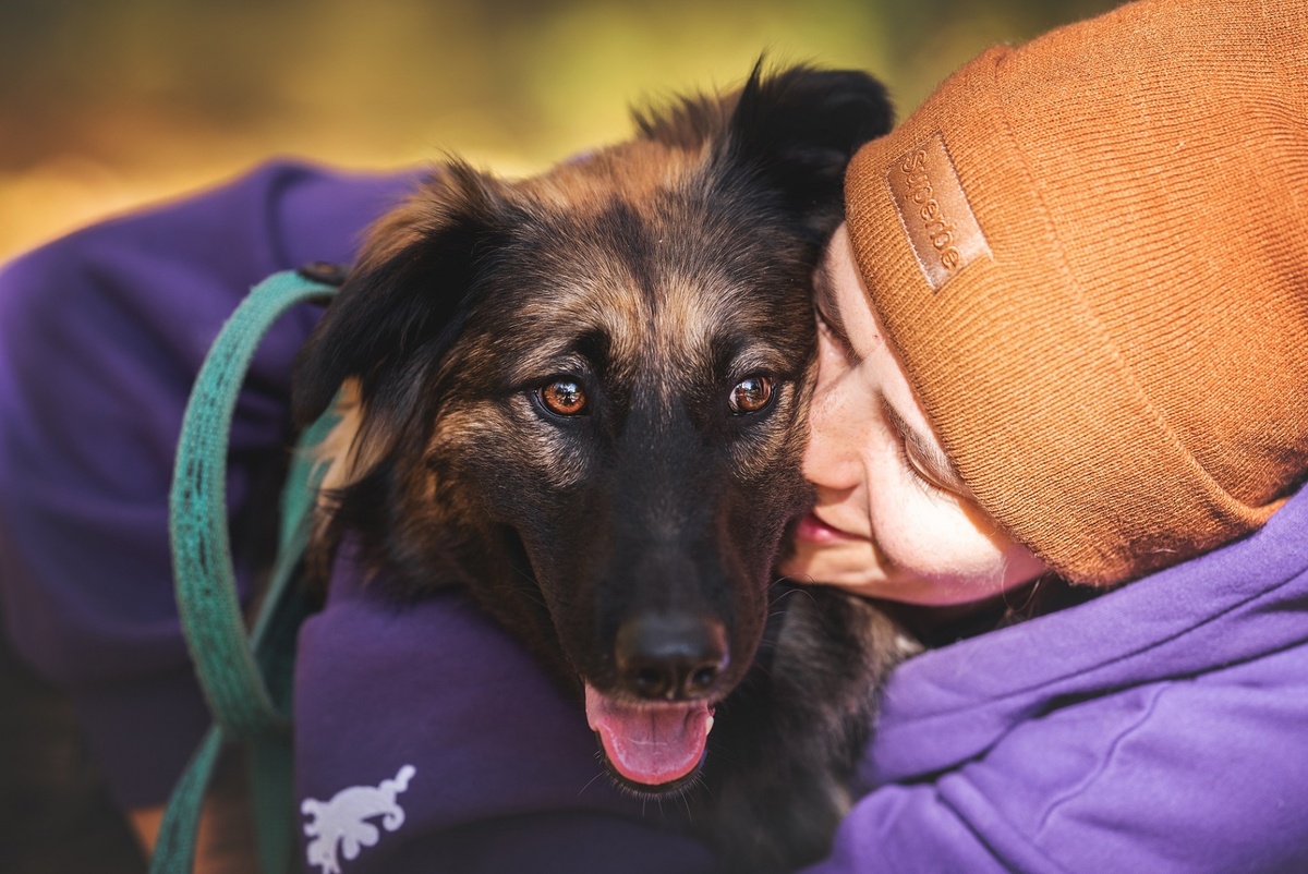 Пуф засиделся во временном доме, он ищет настоящий