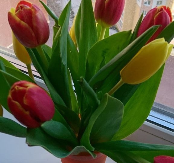 Ребят, ТГ работает все хуже и хуже, так что заходите в дзен, в мах, в контакте