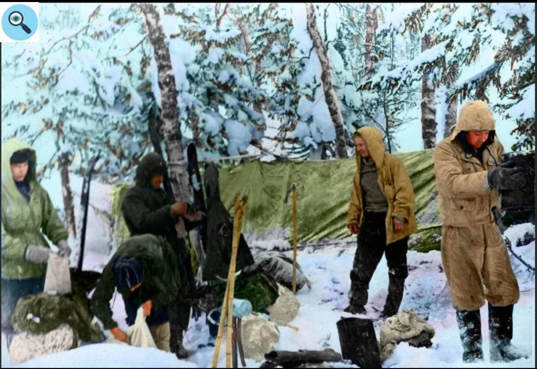 Фото 2  Фото из статьи ТГГД