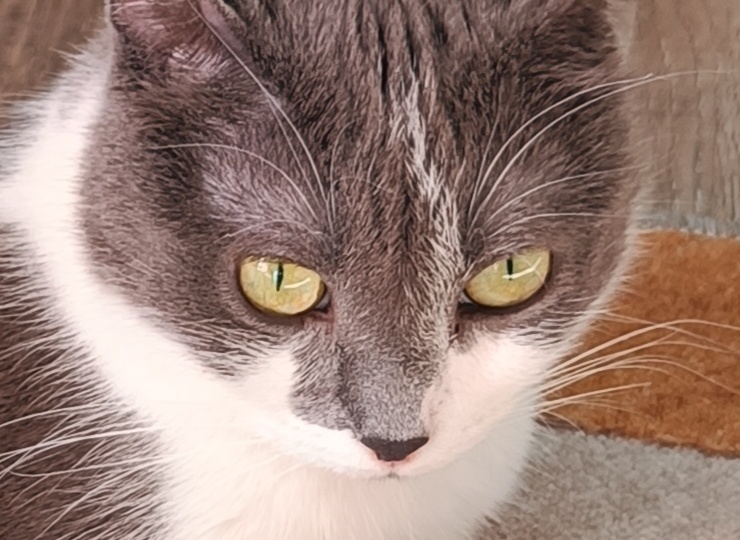 Шушунька философ.