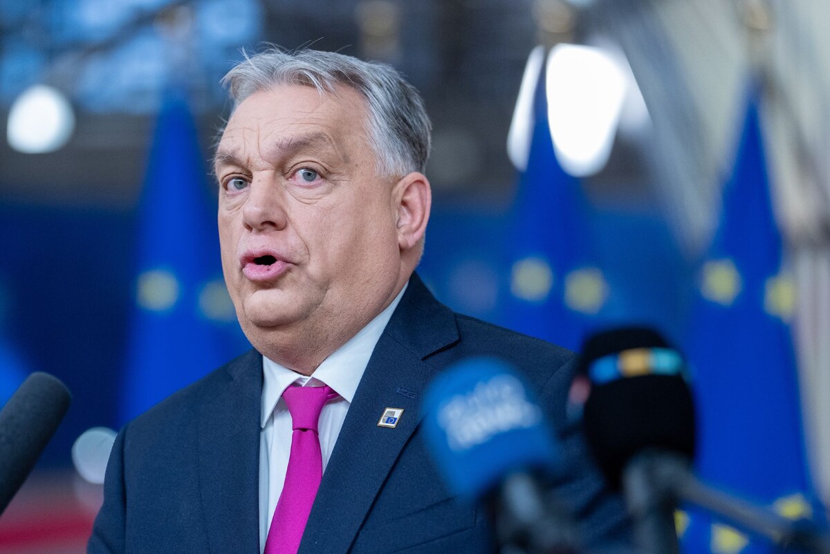     / Источник: © Global Look Press