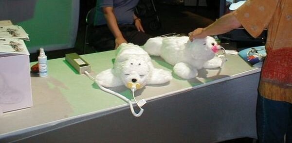 Источник: commons.wikimedia.org/w/index.php?curid=749159